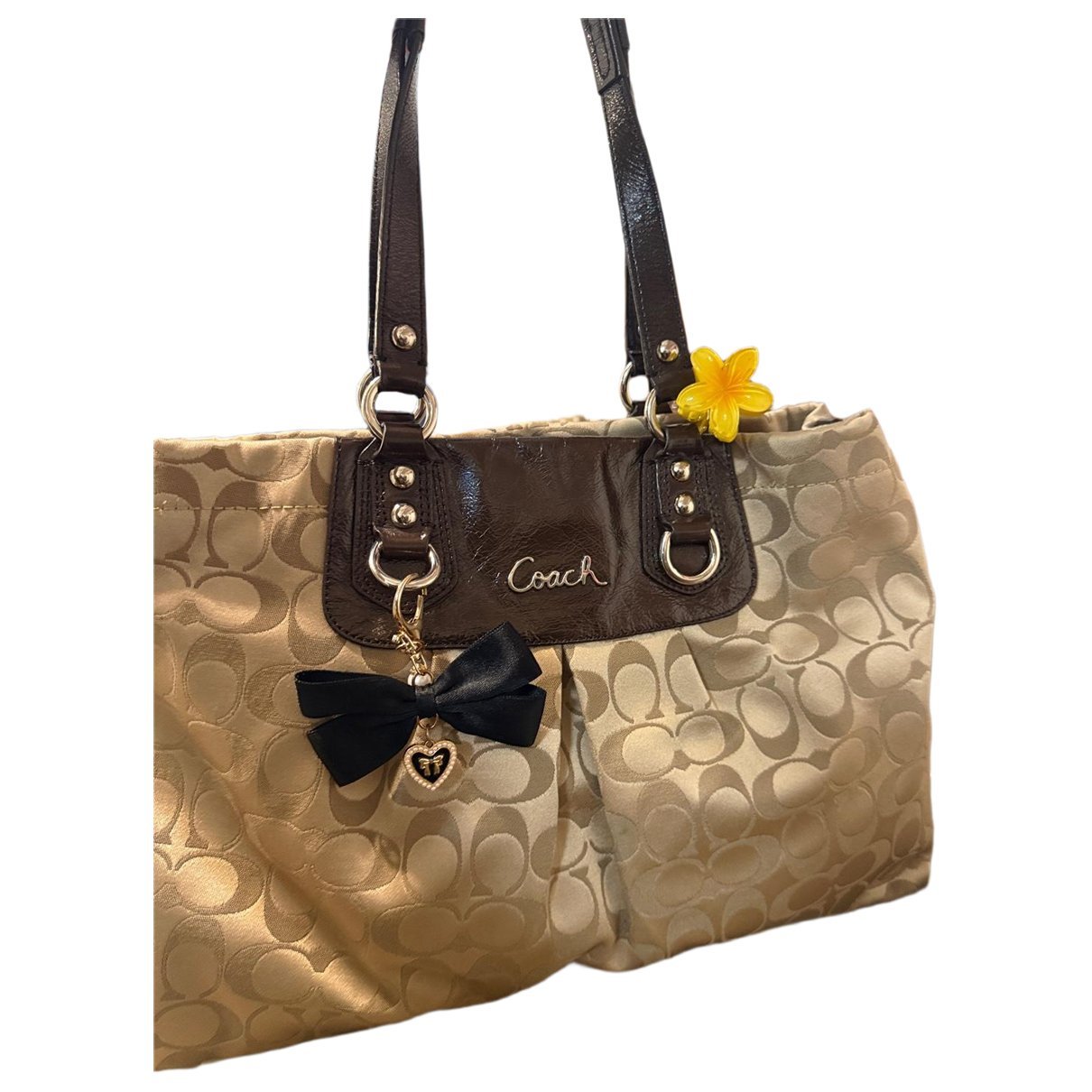 Princess Street Dome Satchel cloth tote