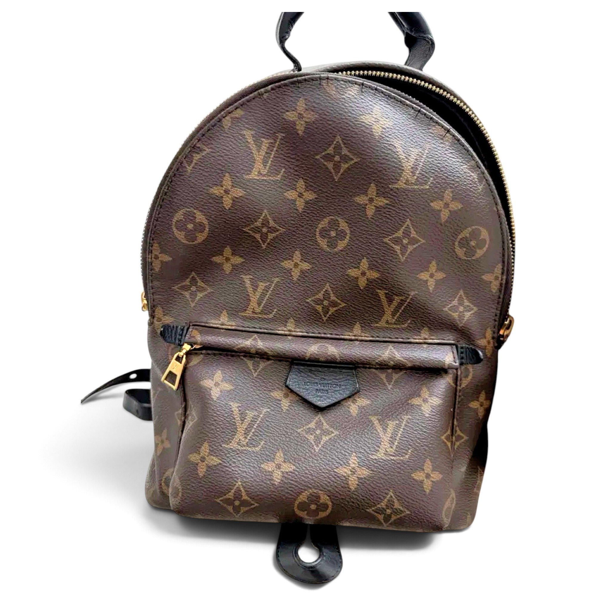 Palm Springs backpack
