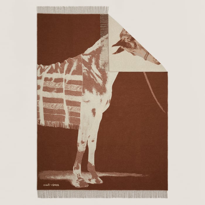 Châtaigne Cheval Talaria Blanket