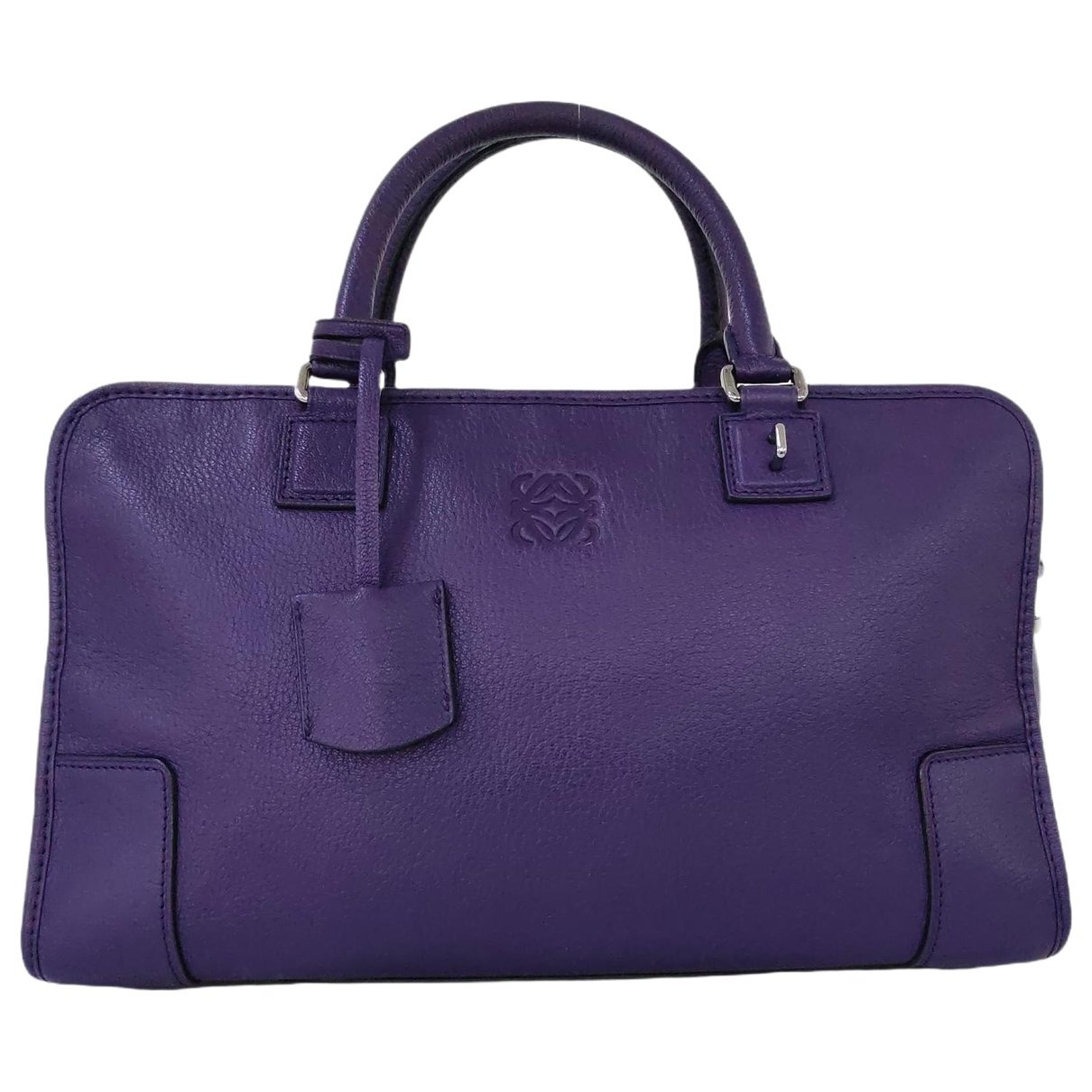 Amazona leather handbag