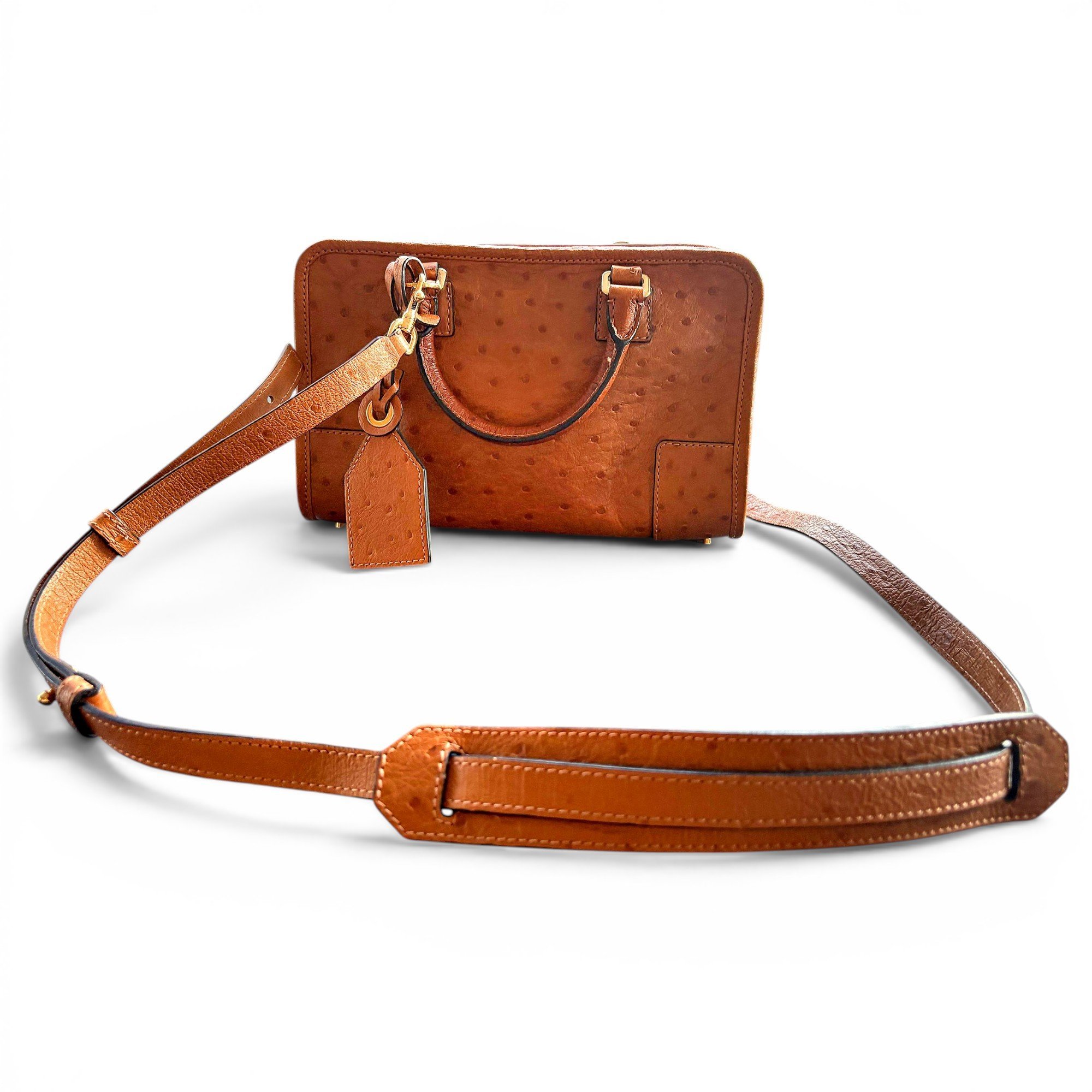 Amazona leather handbag
