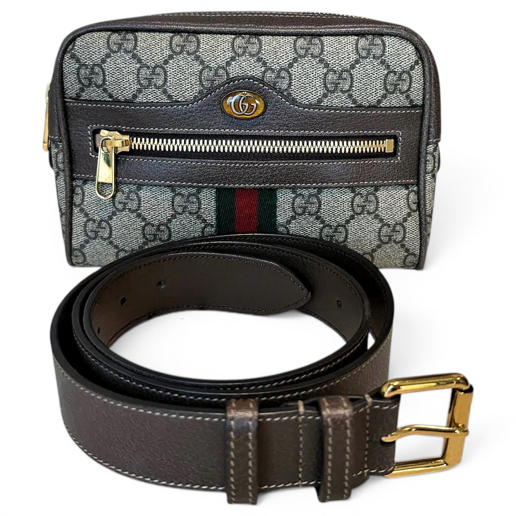 Ophidia vinyl crossbody bag