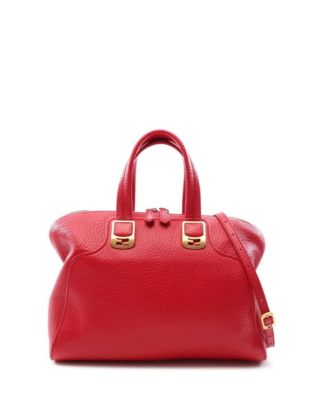 2010-2011 Large Leather Chameleon satchel
