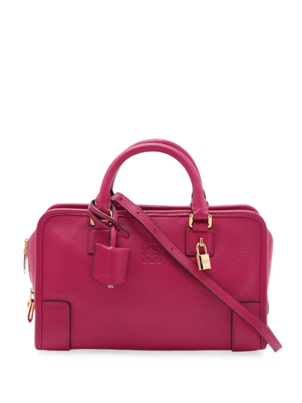 2010-2026 Leather Amazona 23 satchel