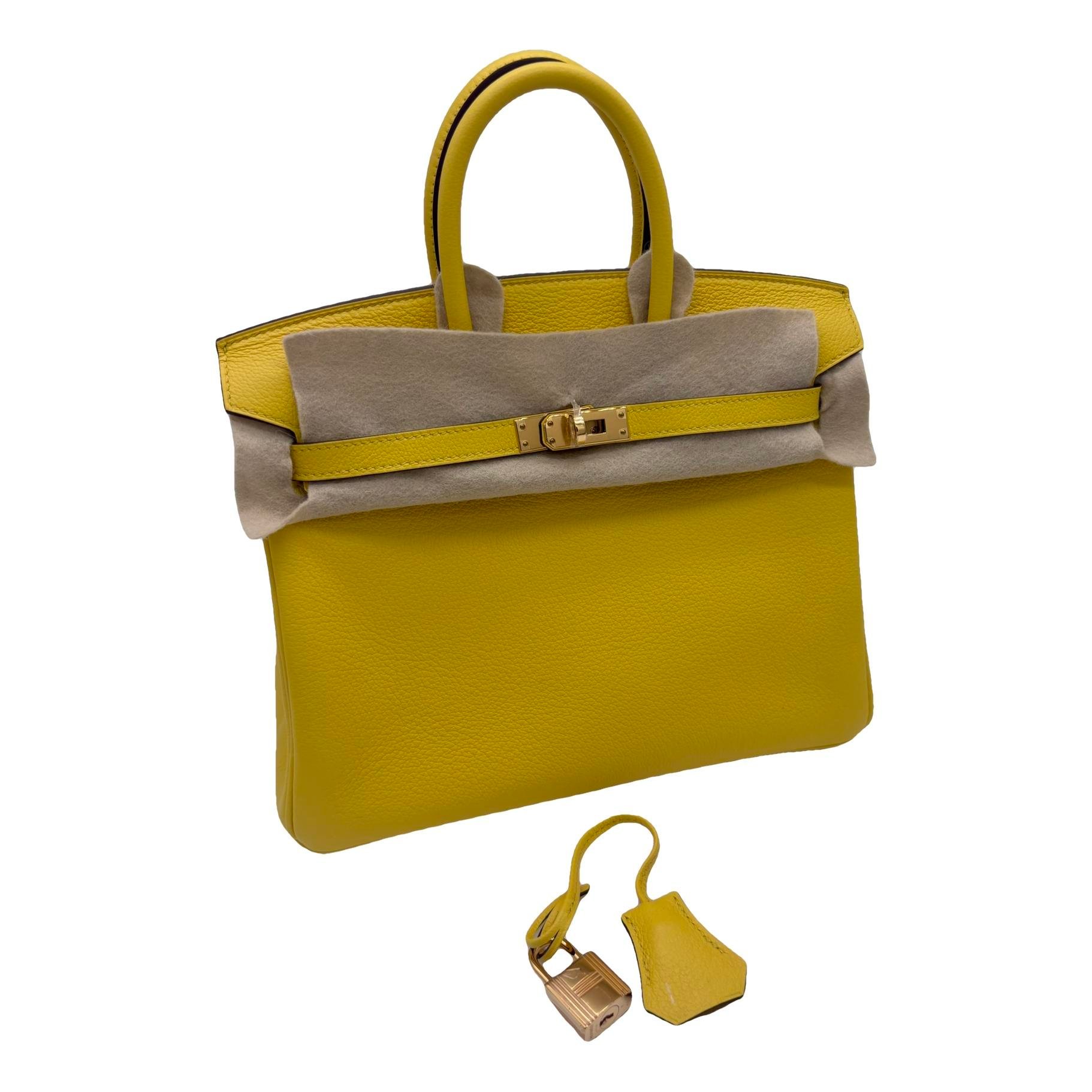 Birkin 25 leather handbag