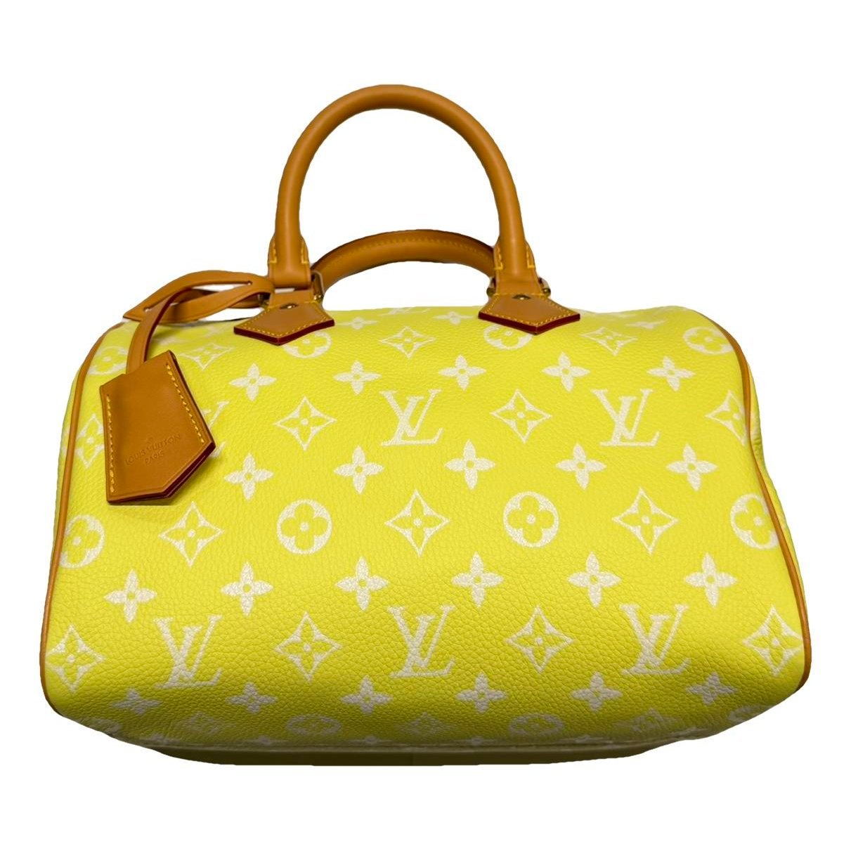 Speedy Bandoulière leather handbag