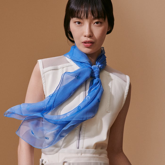 Bleu Multicharms Embroidered Scarf 100