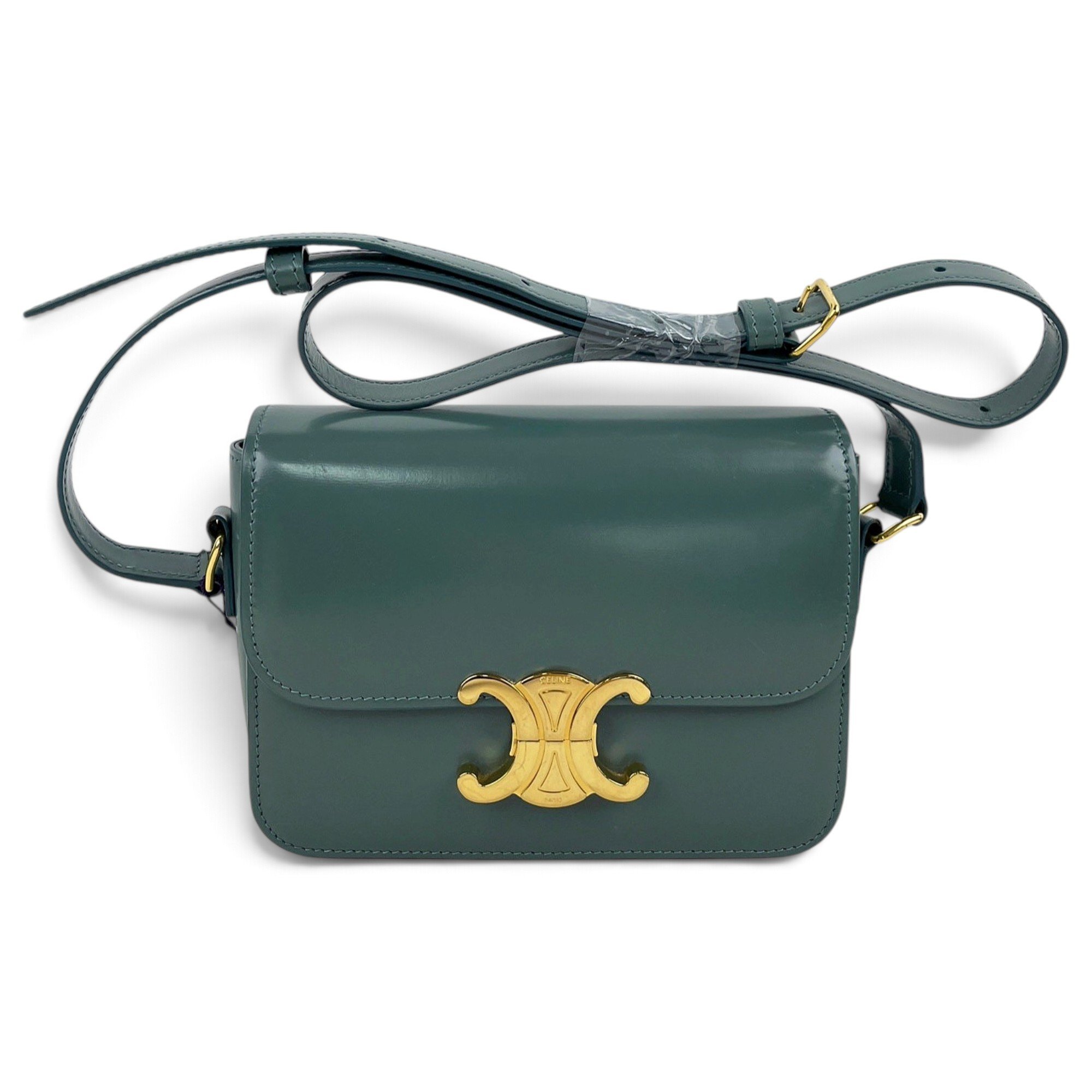Triomphe leather handbag