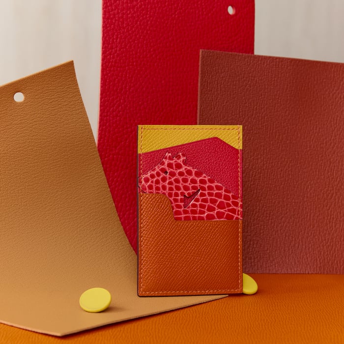 Cold Colors Histoire Naturelle Card Holder