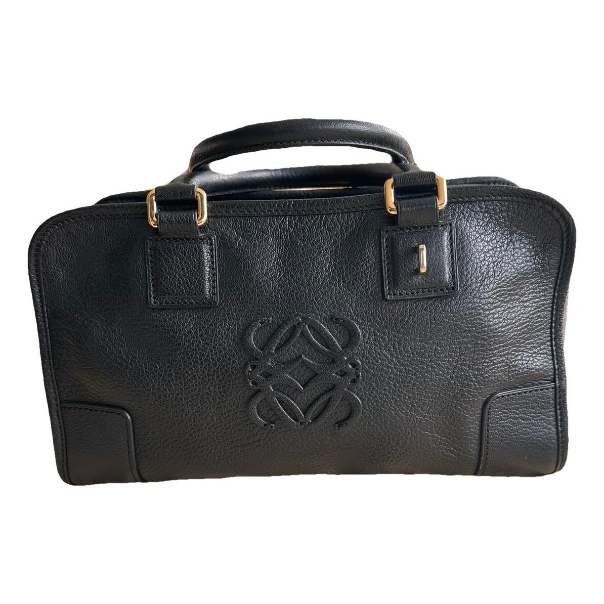 Amazona leather handbag