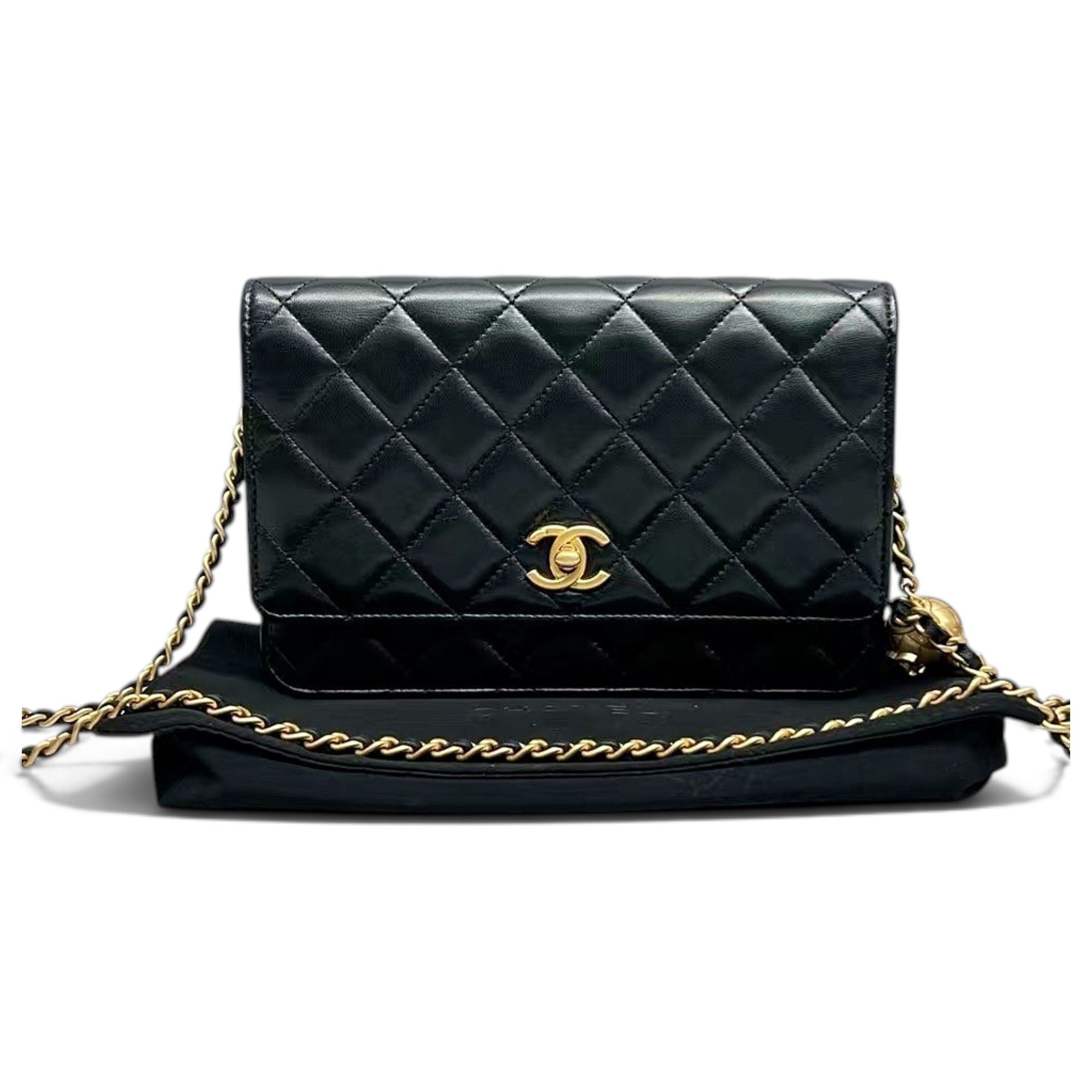 Chanel Wallet On Chain Timeless/Classique leather handbag