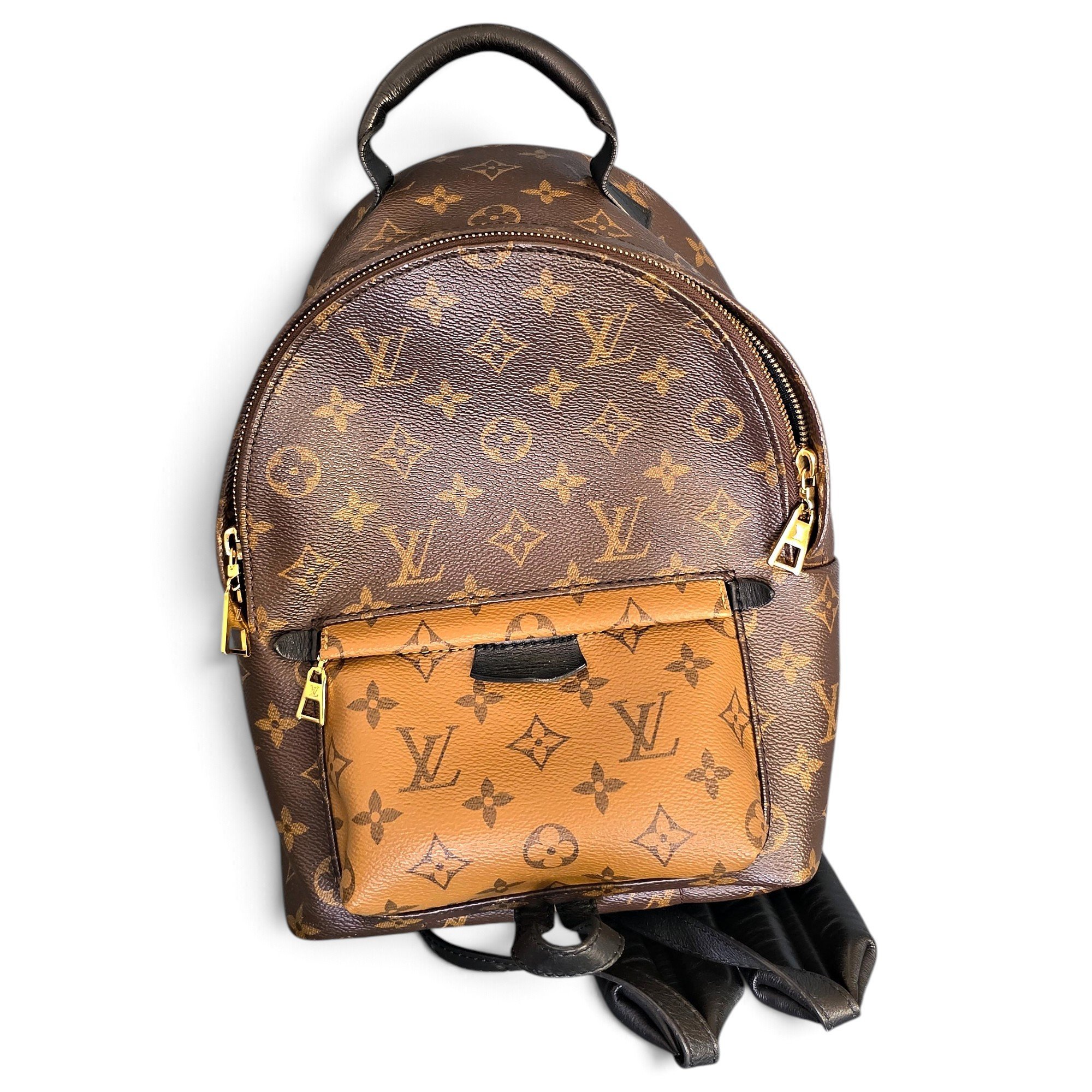 Palm Springs backpack