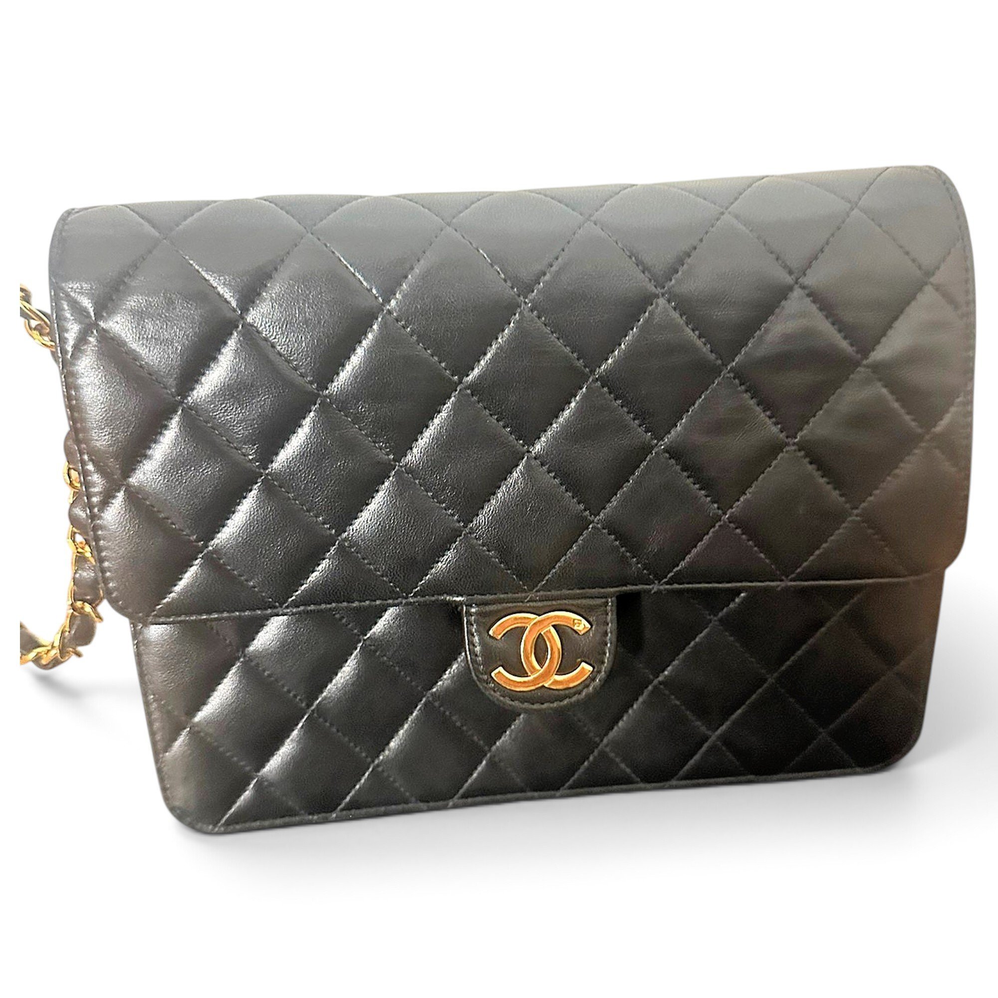 Timeless/Classique leather bag