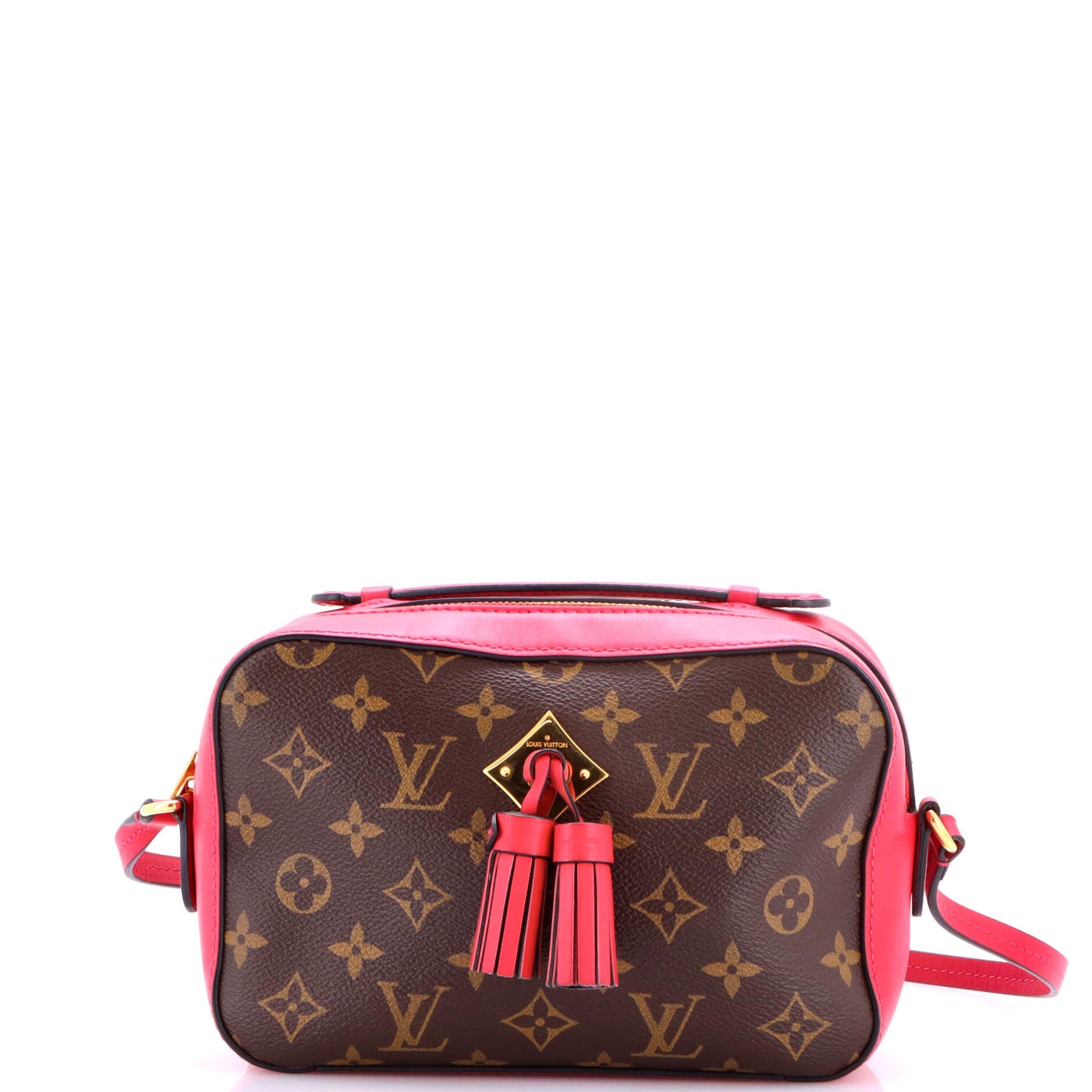 Saintonge Handbag Monogram Canvas with Leather