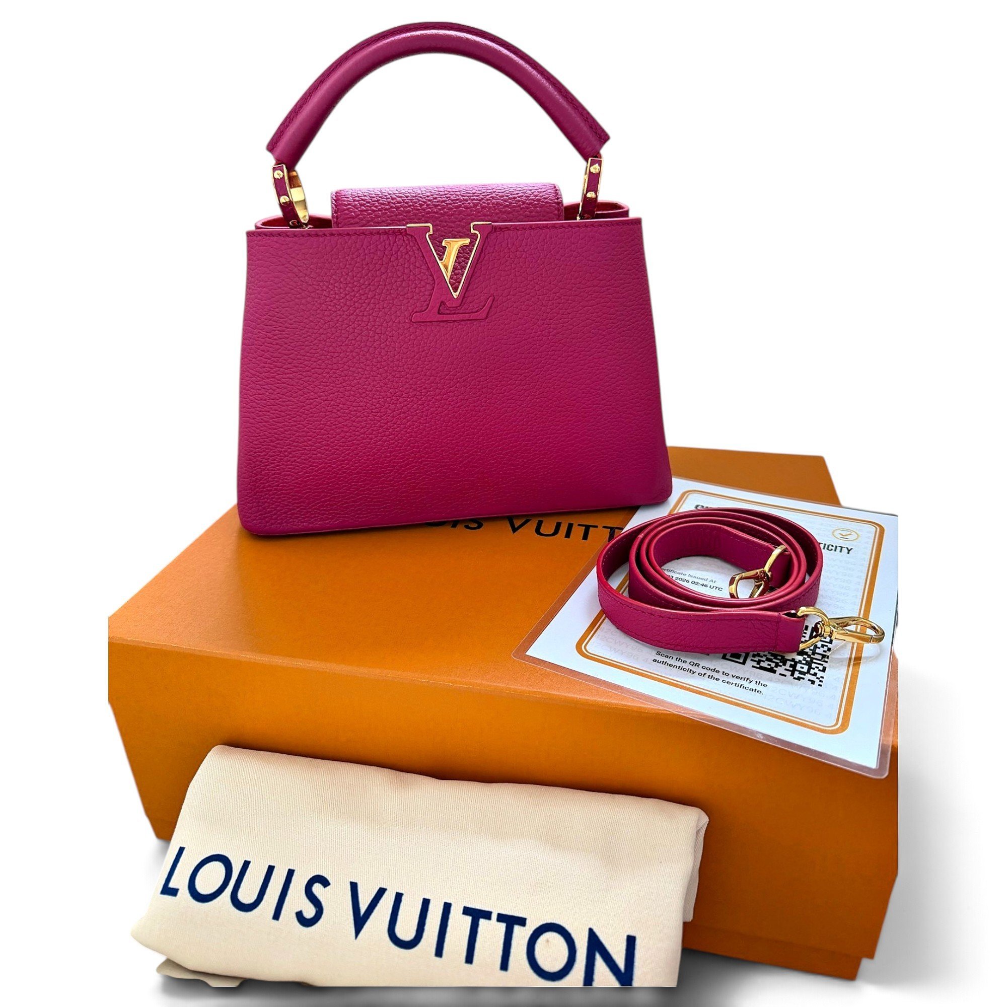 Capucines leather handbag