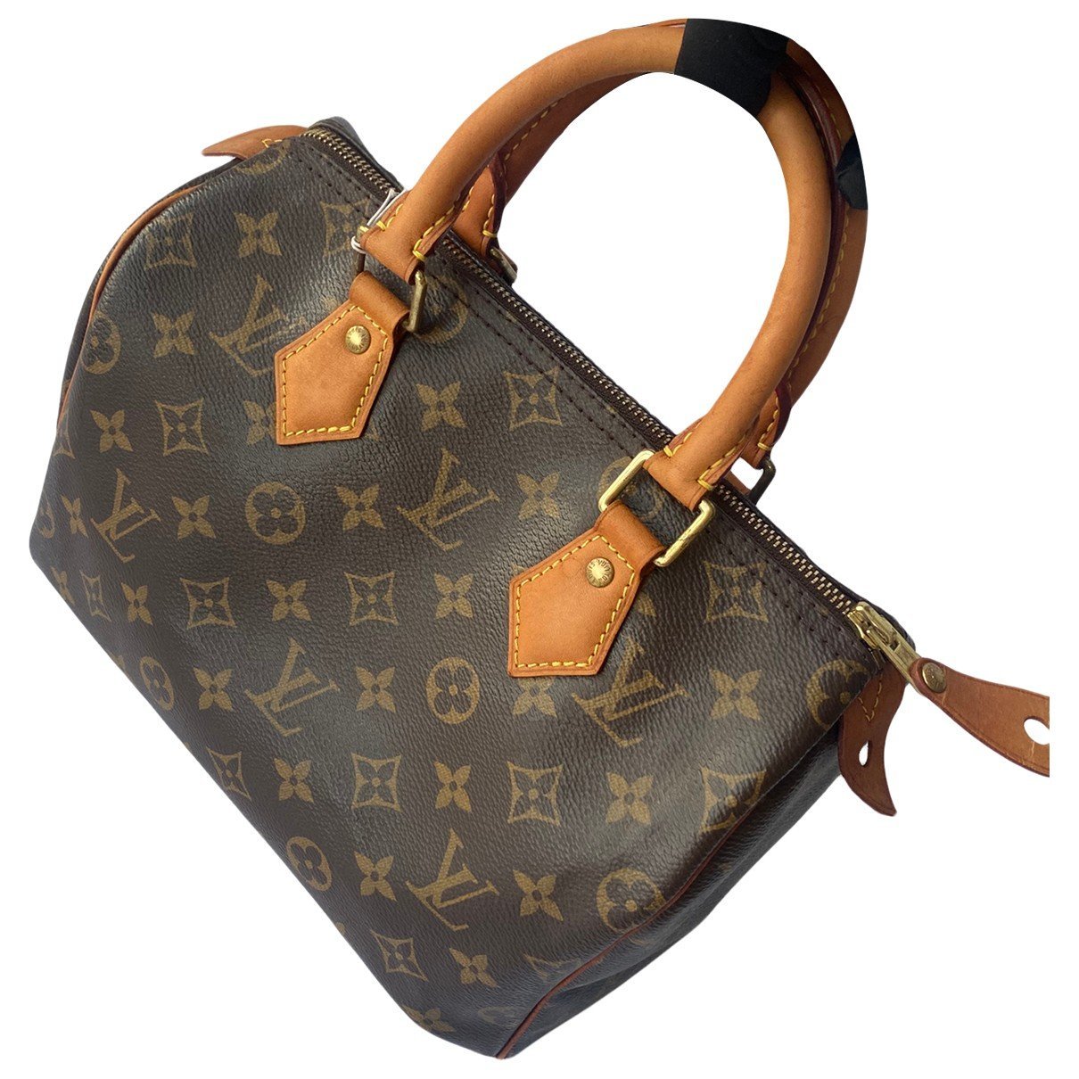 Louis Vuitton Speedy leather handbag
