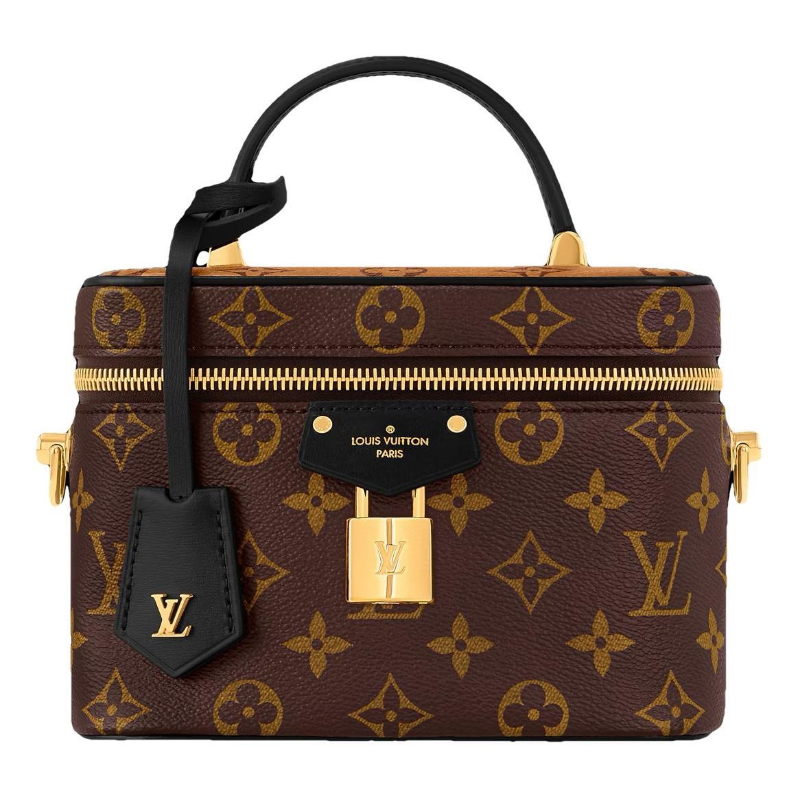 Louis Vuitton Vanity leather handbag