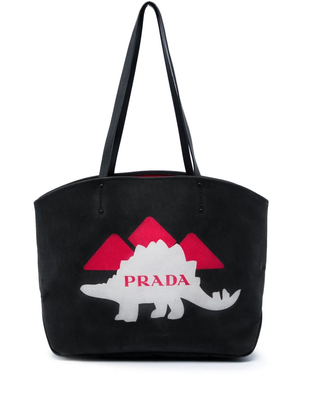 2010-2026 Canvas Dinosaur Print Canapa tote bag