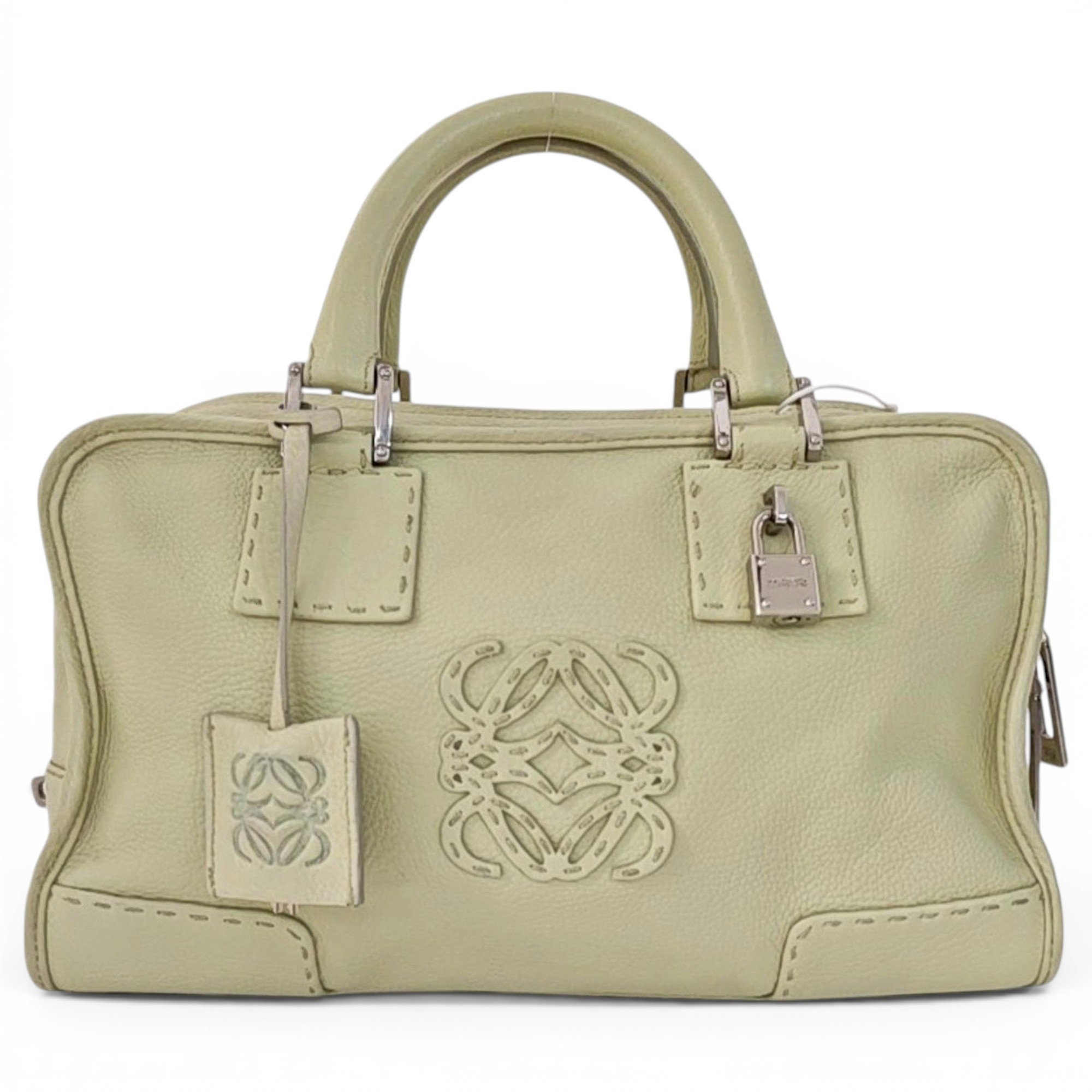 Amazona leather handbag