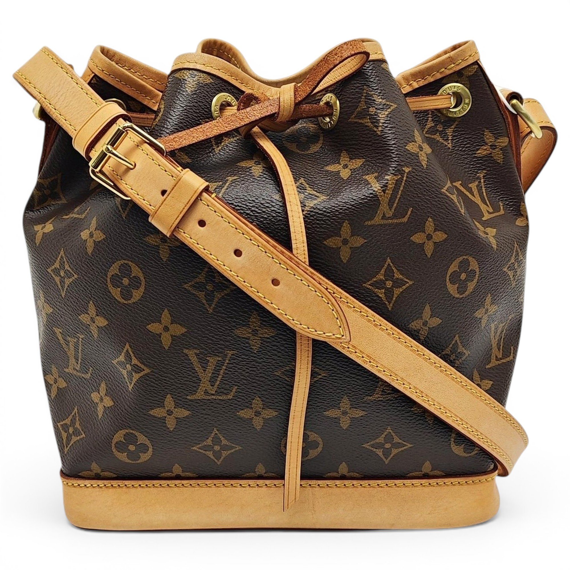 Nano Noé leather handbag