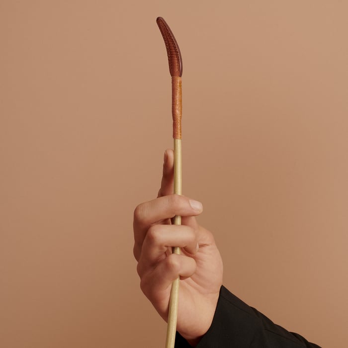 Gold Dressage Stick