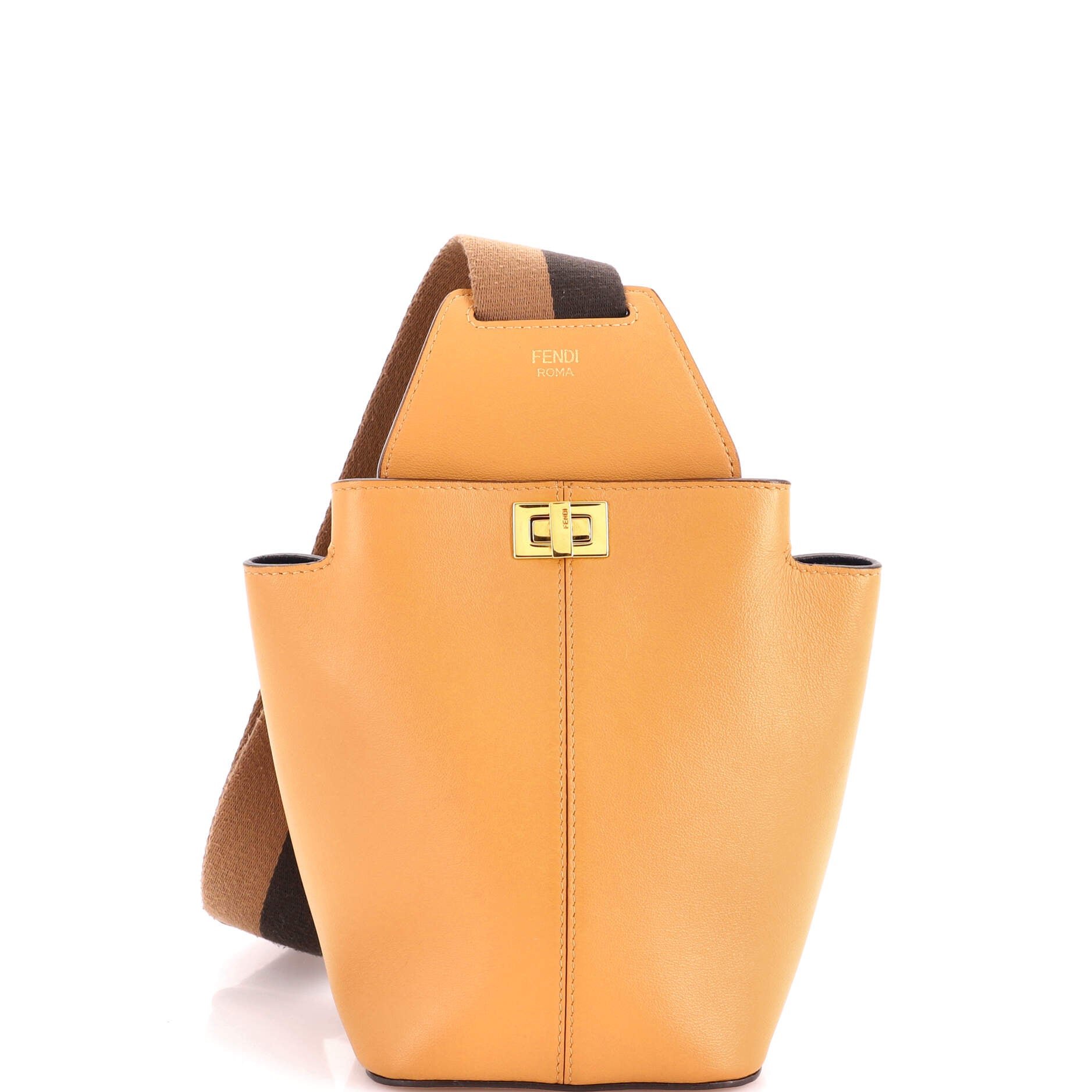 Guitar Bag Leather Mini