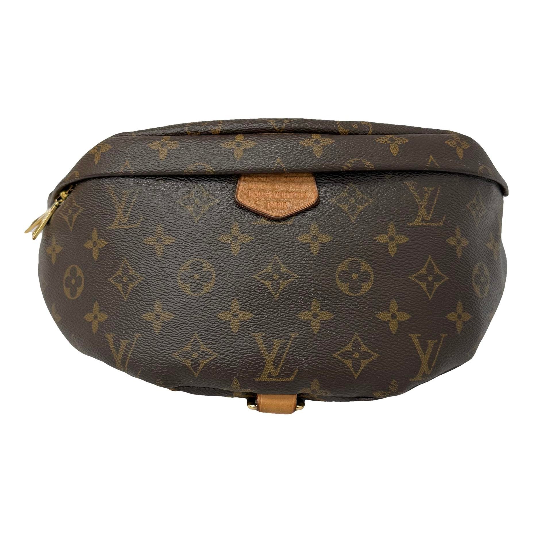 Bum Bag / Sac Ceinture leather handbag