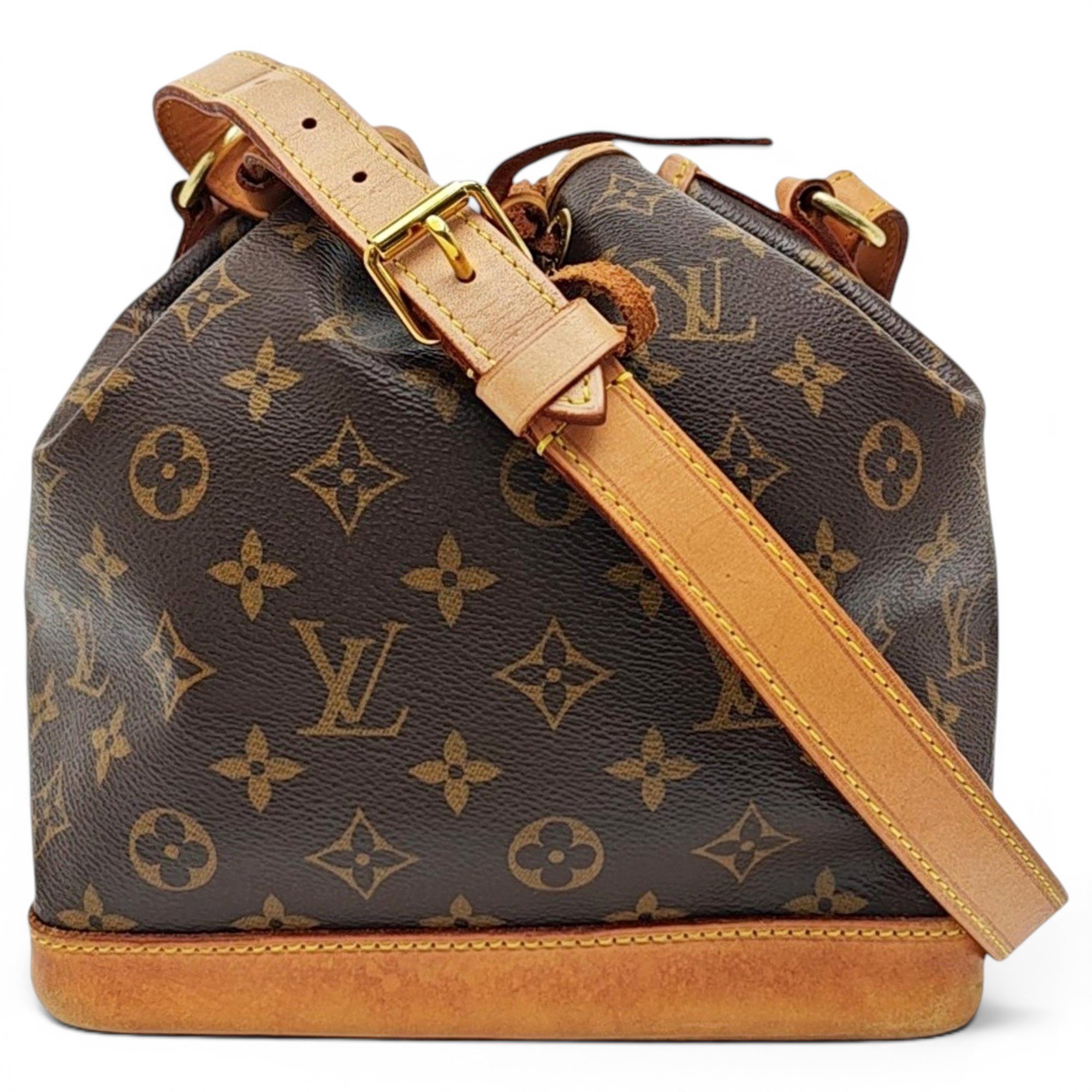 Nano Noé leather handbag