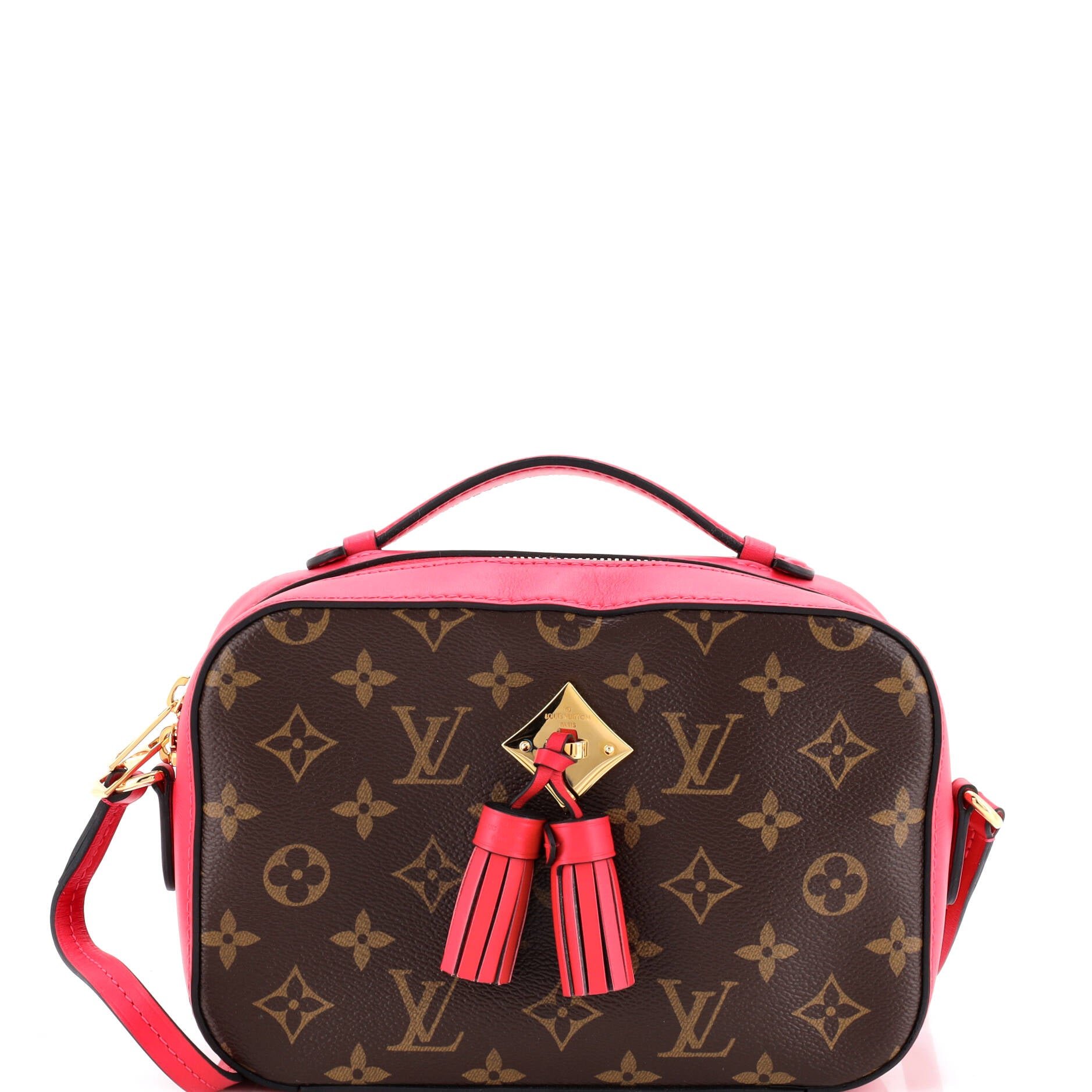 Saintonge Handbag Monogram Canvas with Leather