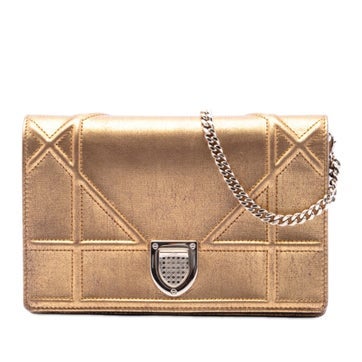 Calf Leather Metallic Calfskin Diorama Wallet on Chain