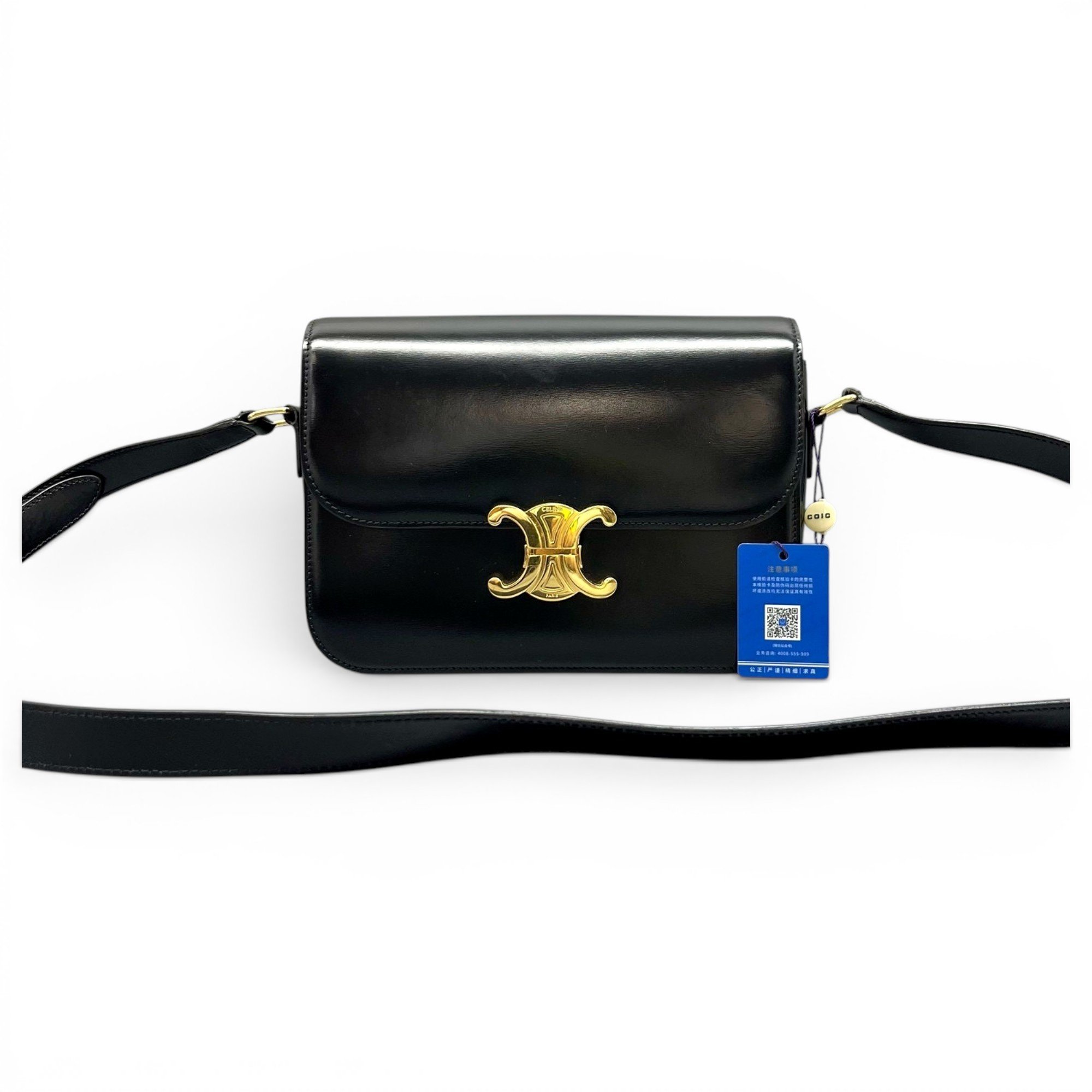 Triomphe leather handbag