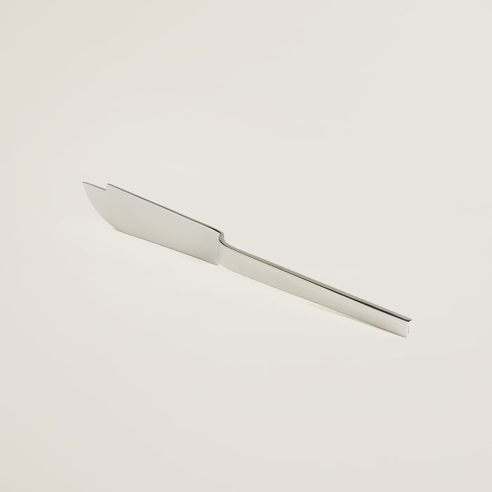 Sans Coloris Hts Fish Knife