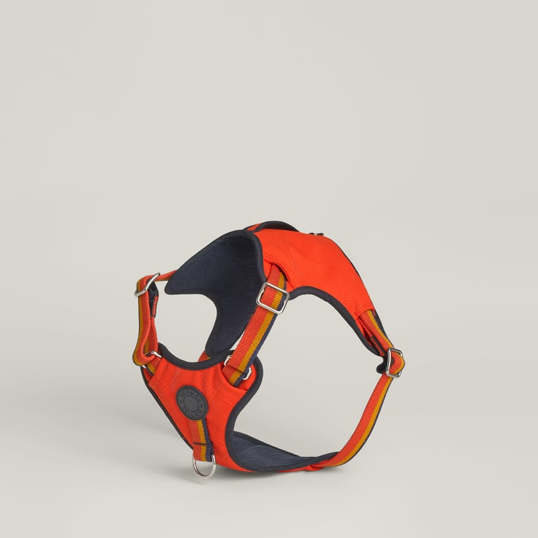 Jump dog harness, XS and S