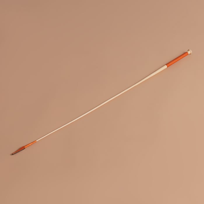 Feu Dressage Stick
