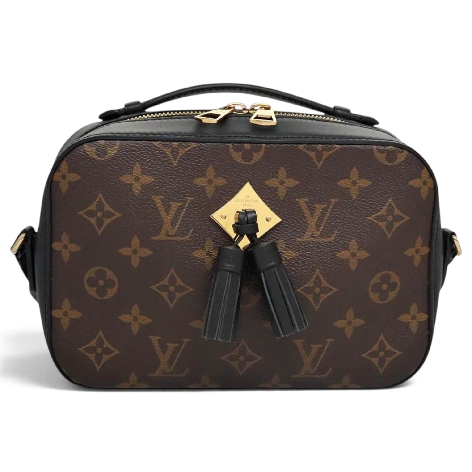 Saintonge leather handbag
