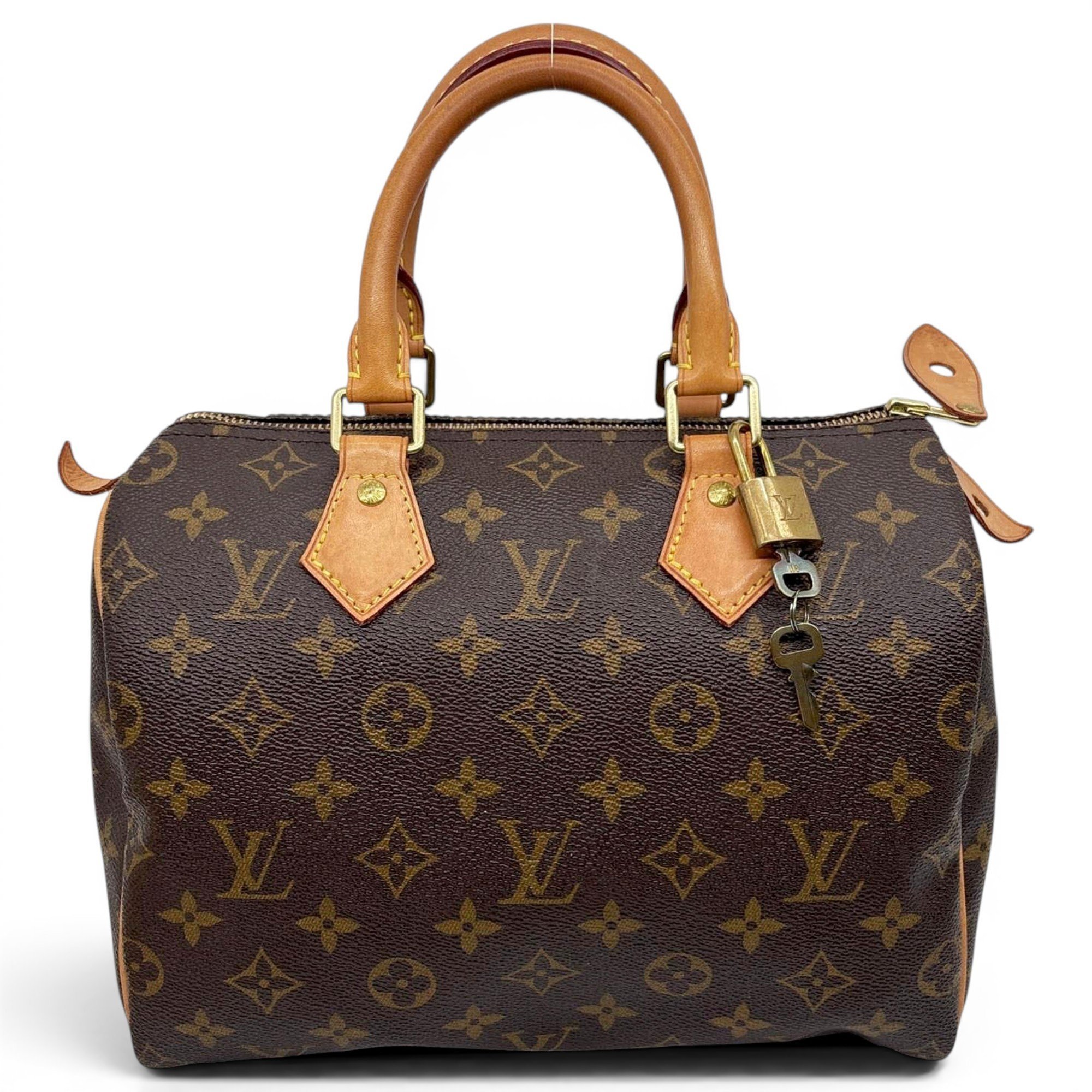 Louis Vuitton Speedy cloth satchel