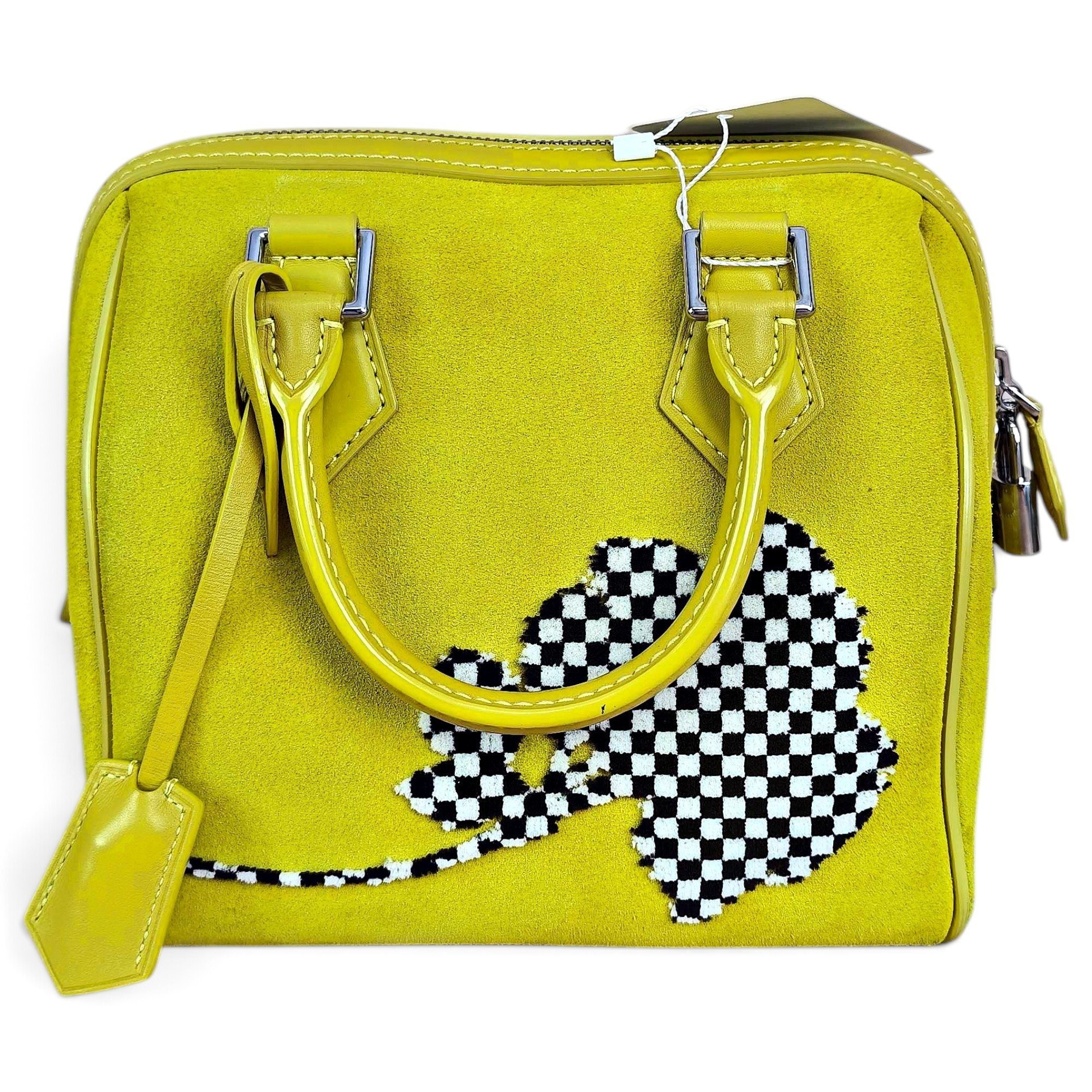Louis Vuitton Speedy leather handbag