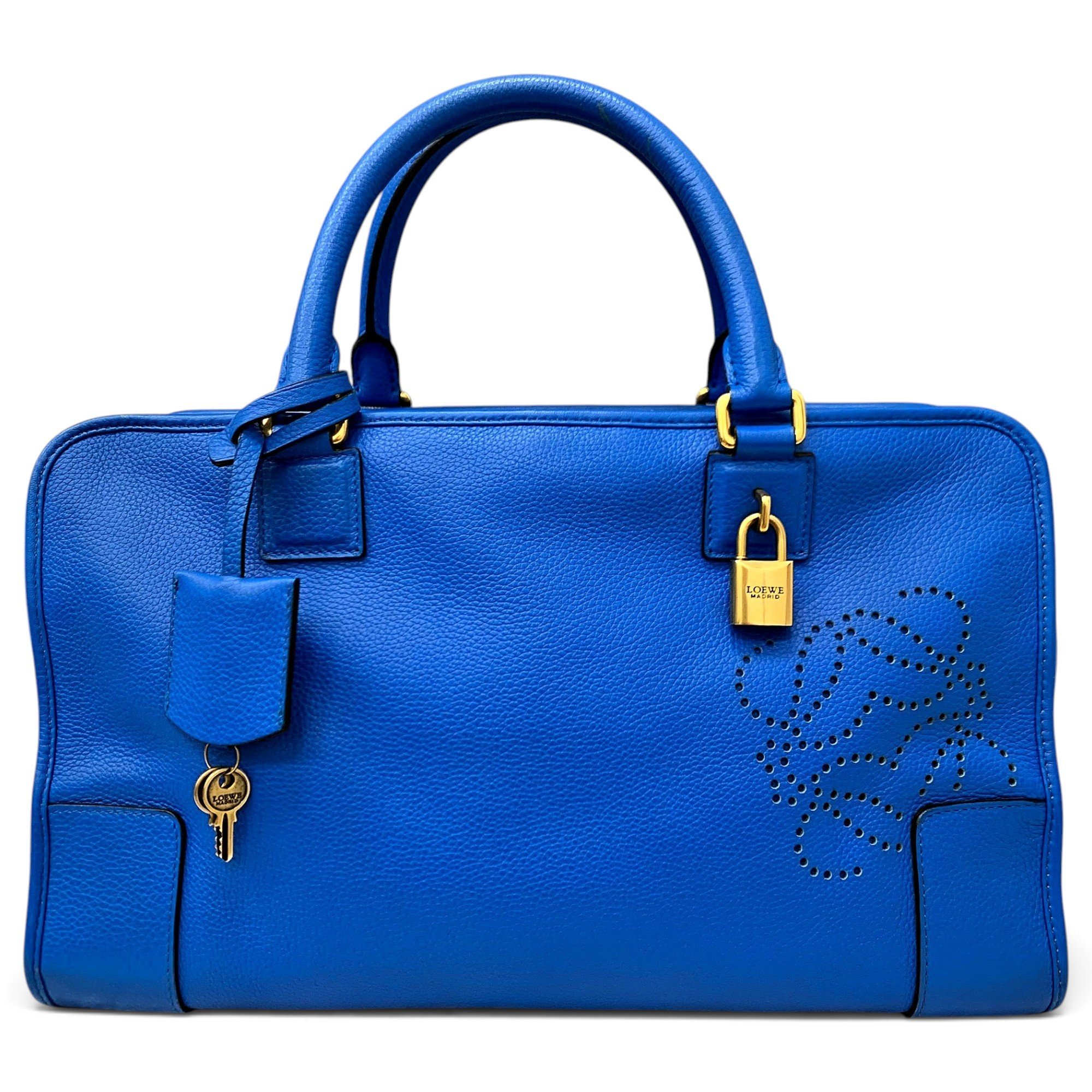 Amazona leather handbag