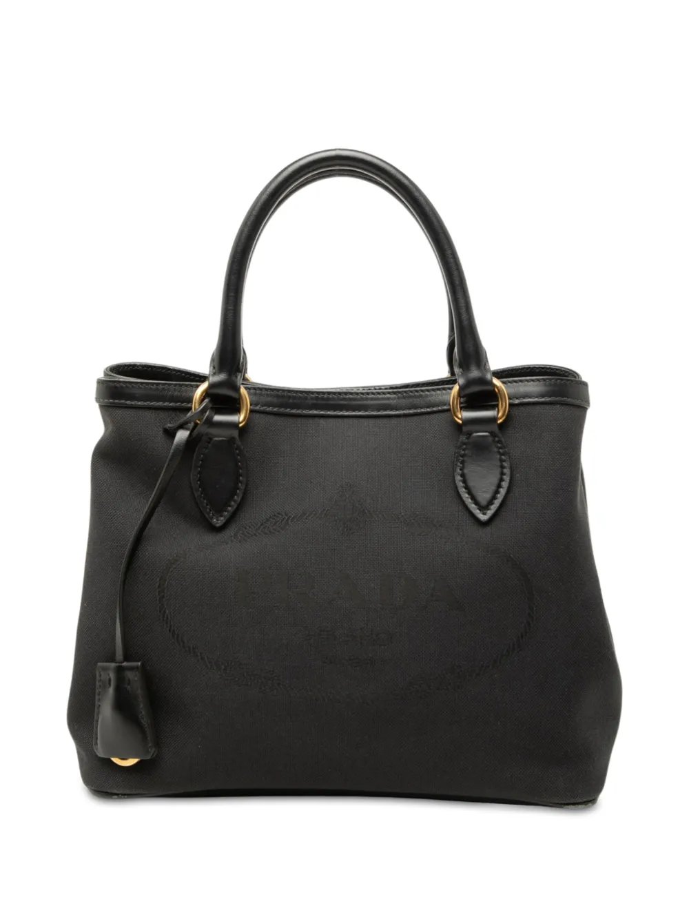 2013-2026 Canvas Canapa Logo satchel