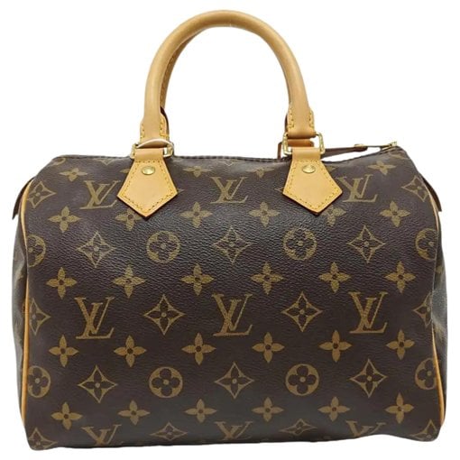 Louis Vuitton Nano Speedy / Mini HL leather handbag