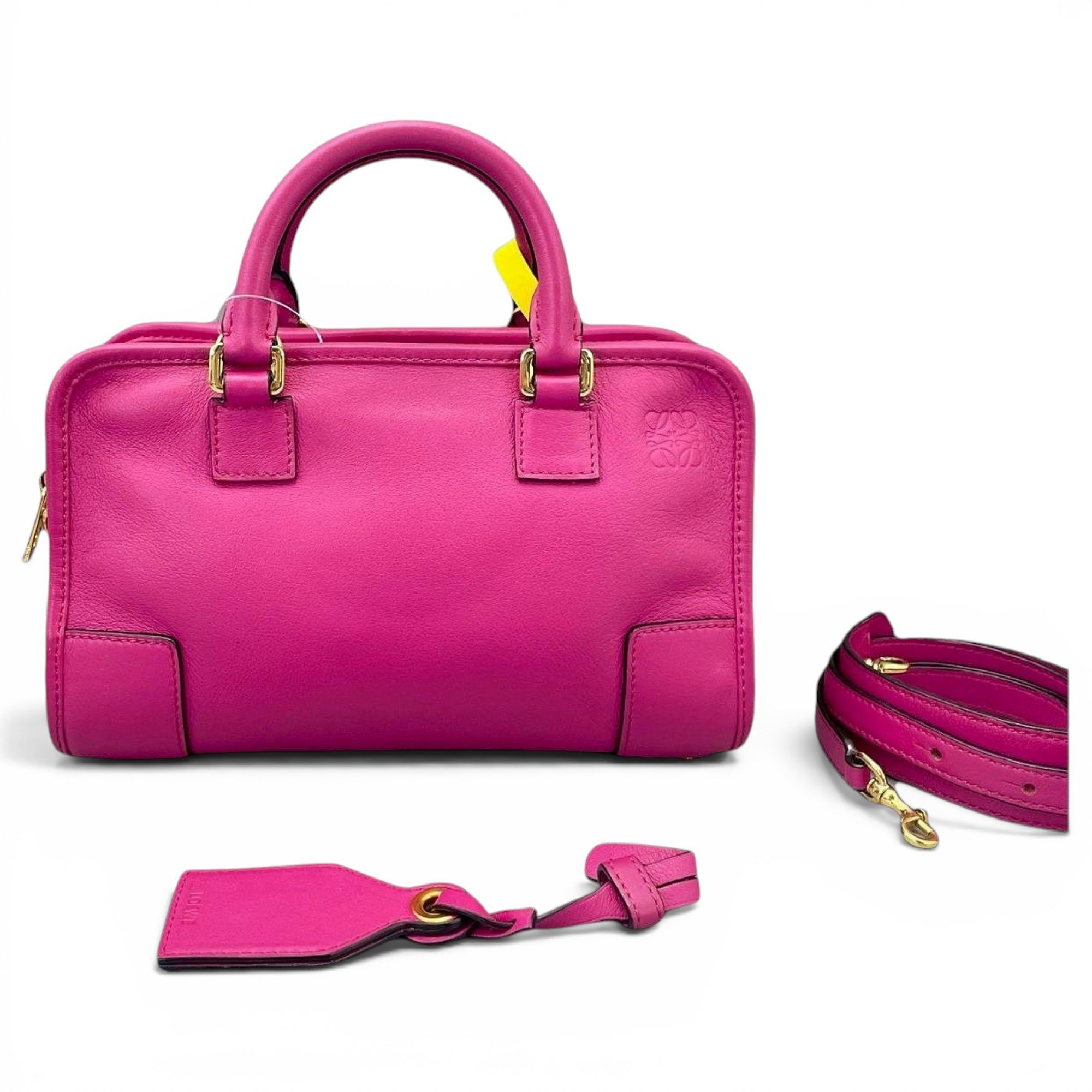 Amazona leather handbag