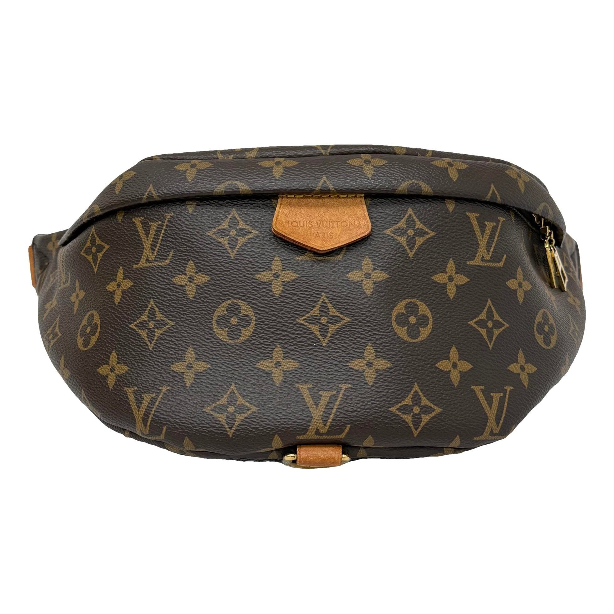 Bum Bag / Sac Ceinture leather handbag