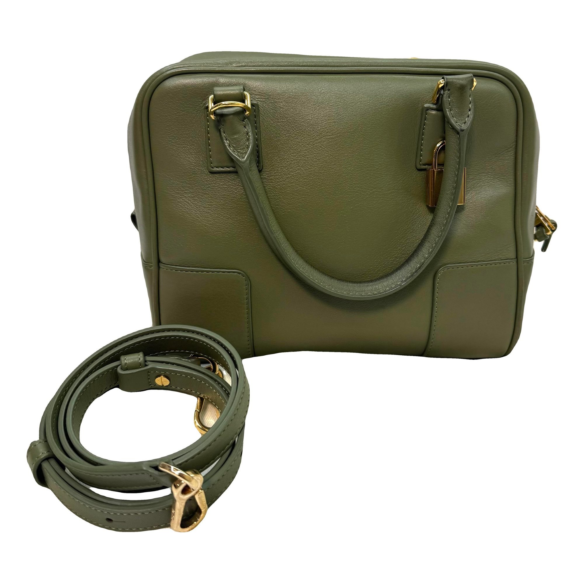 Amazona leather handbag