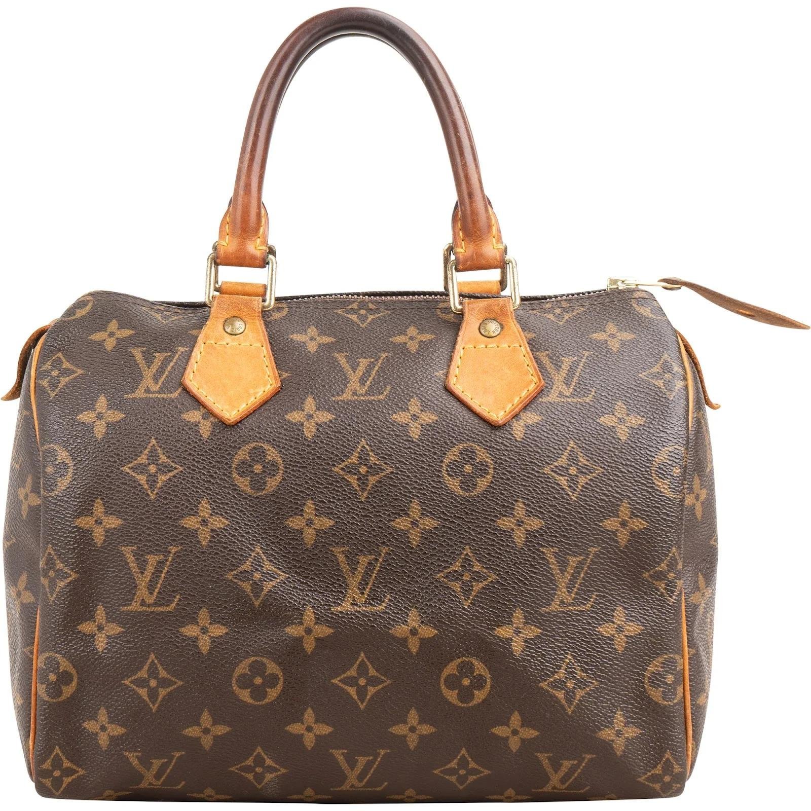 Speedy leather handbag