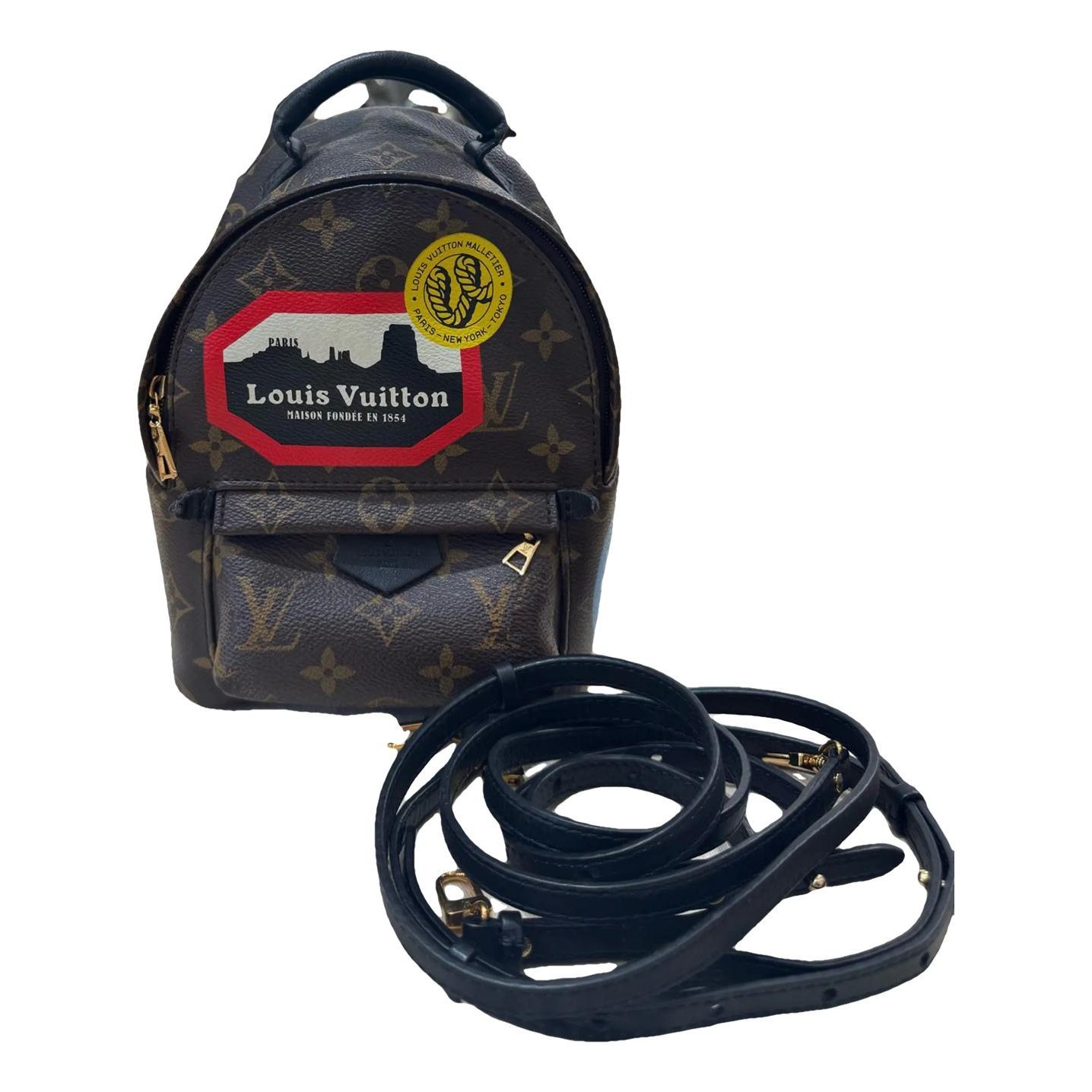 Palm Springs vinyl backpack