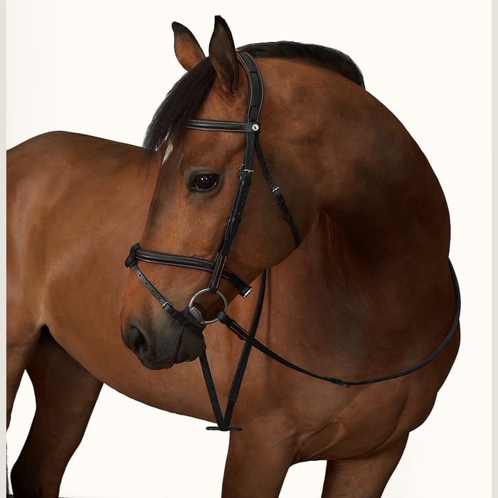 Ergonomic Hunter/jumper Bridle