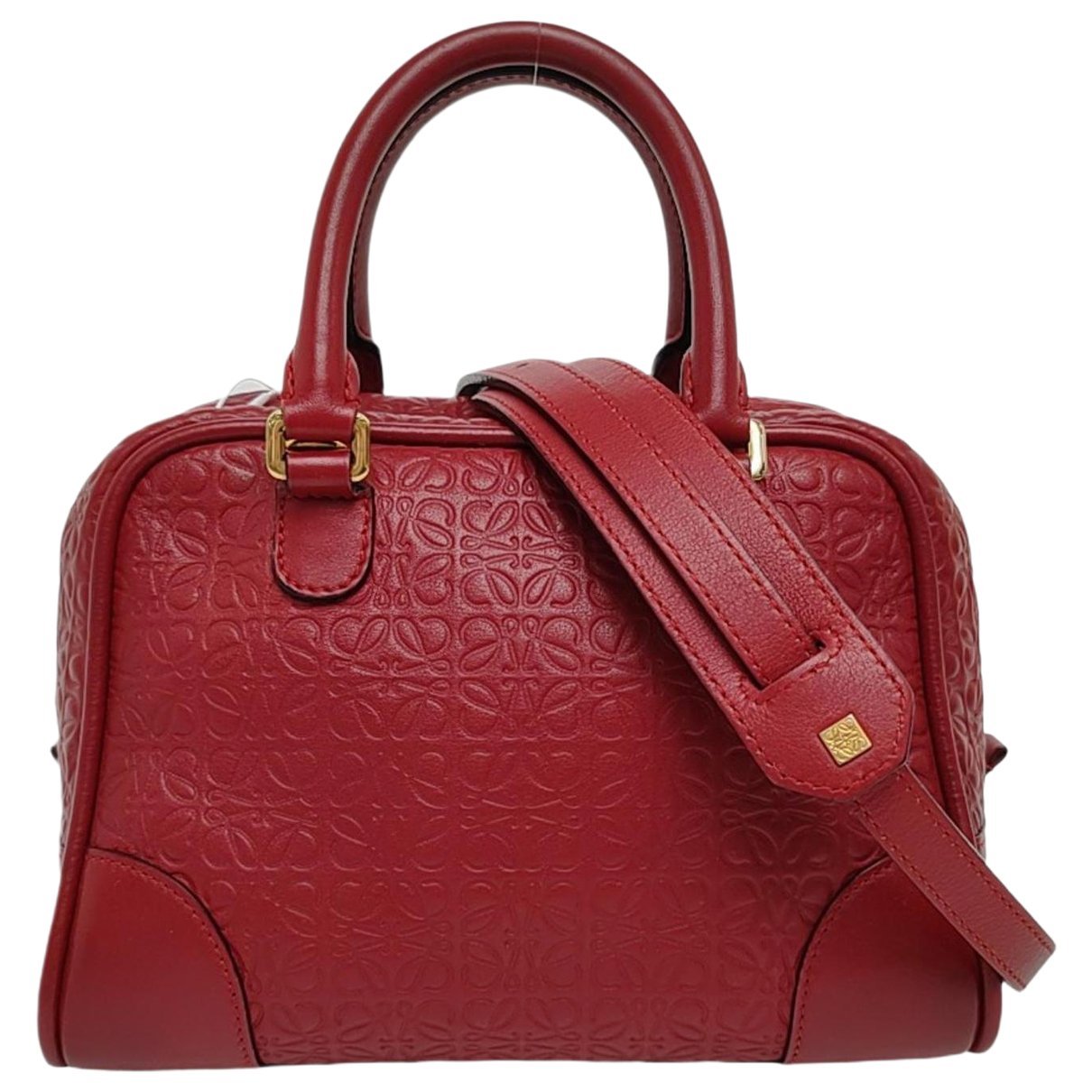 Amazona leather handbag