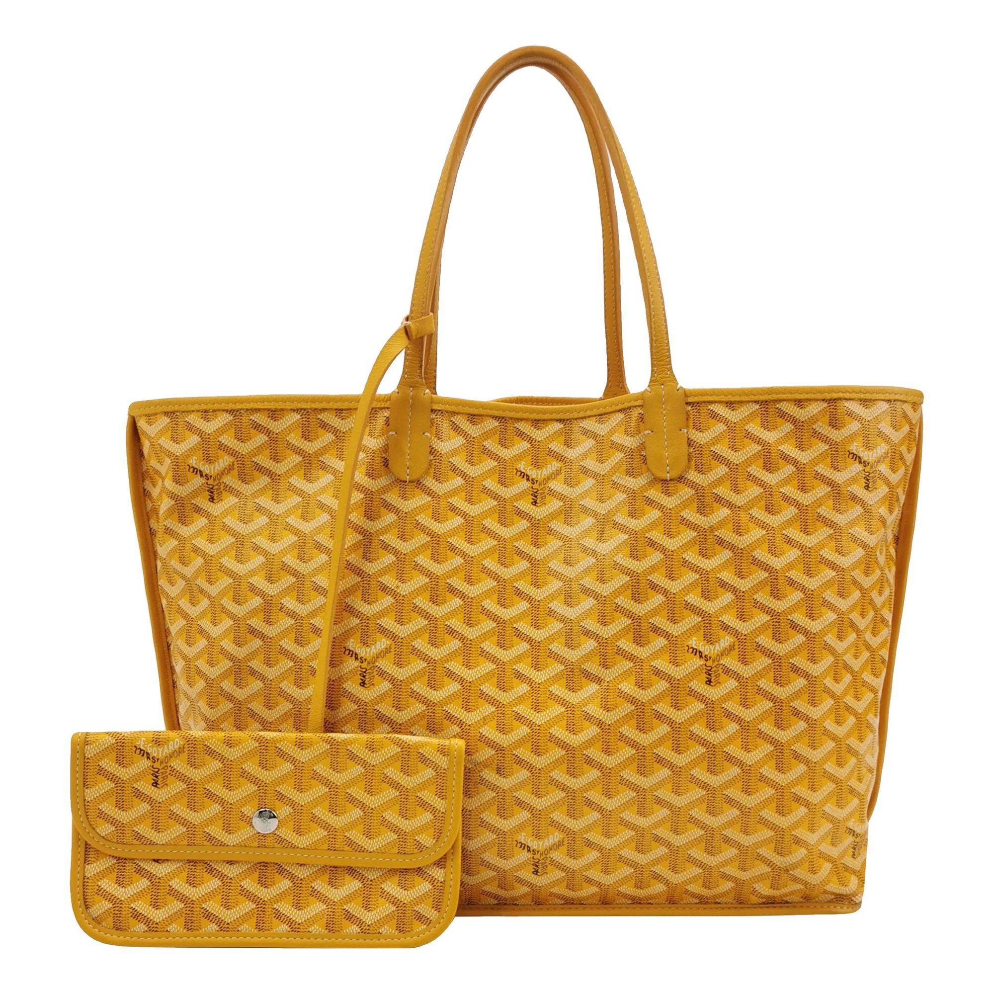 Goyard Anjou leather bag