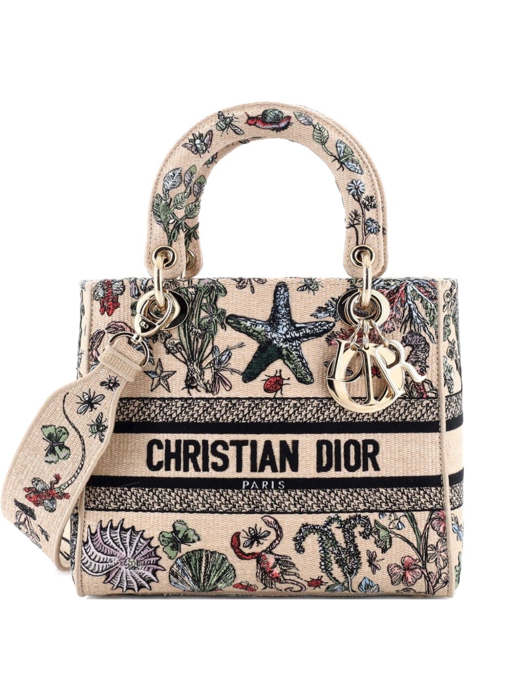 Lady D-Lite Bag Embroidered Raffia Medium satchel