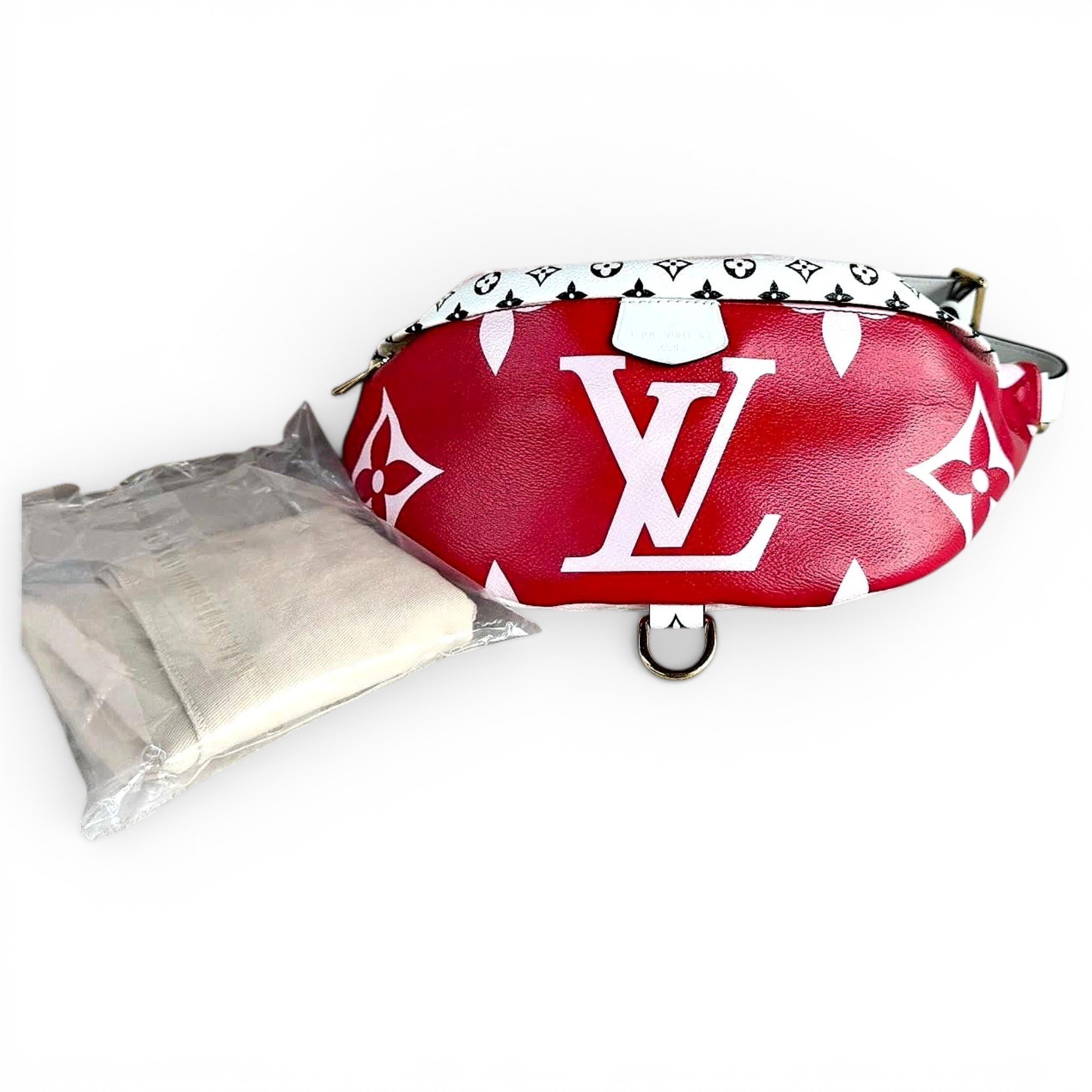Louis Vuitton Leather bag